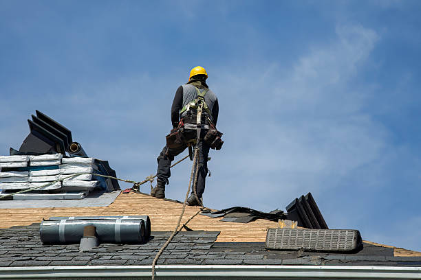 Professional Gutter Installation technician working in Collins, MO